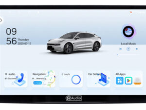 BMW 3 Series E46 Neo Multimedia Player